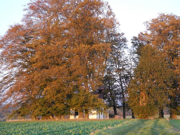 Schonlau Kapelle