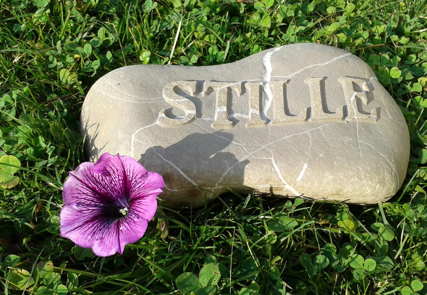 Stein mit der Aufschrift „STILLE“ und lila Blume auf grünem Gras