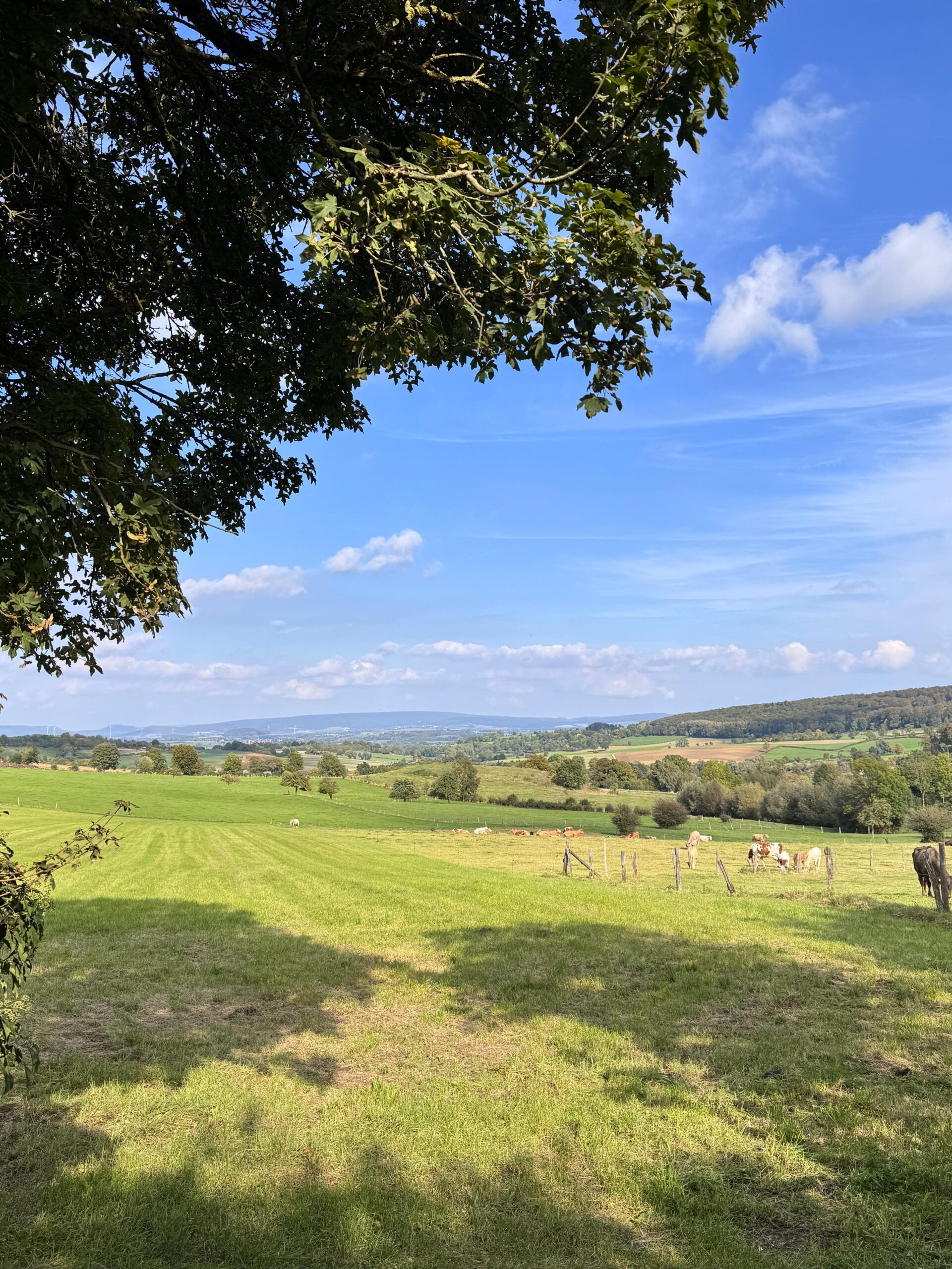 Impressionen vom wunderbaren Weg durch den Spätsommer