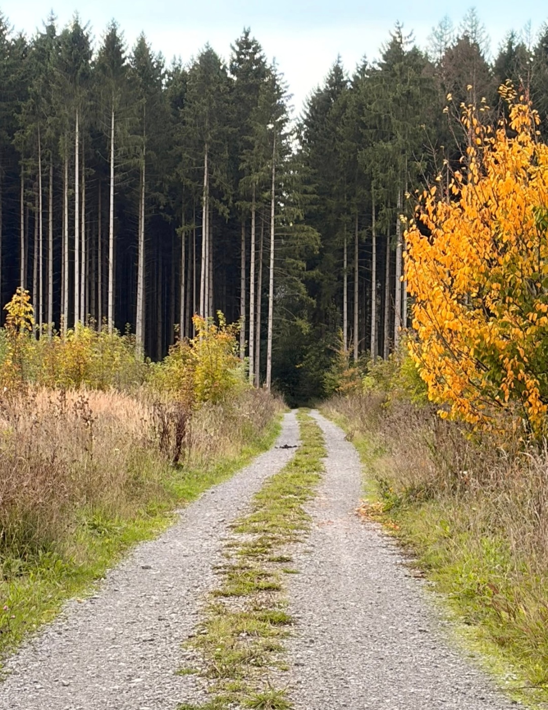 Es wird Herbst!